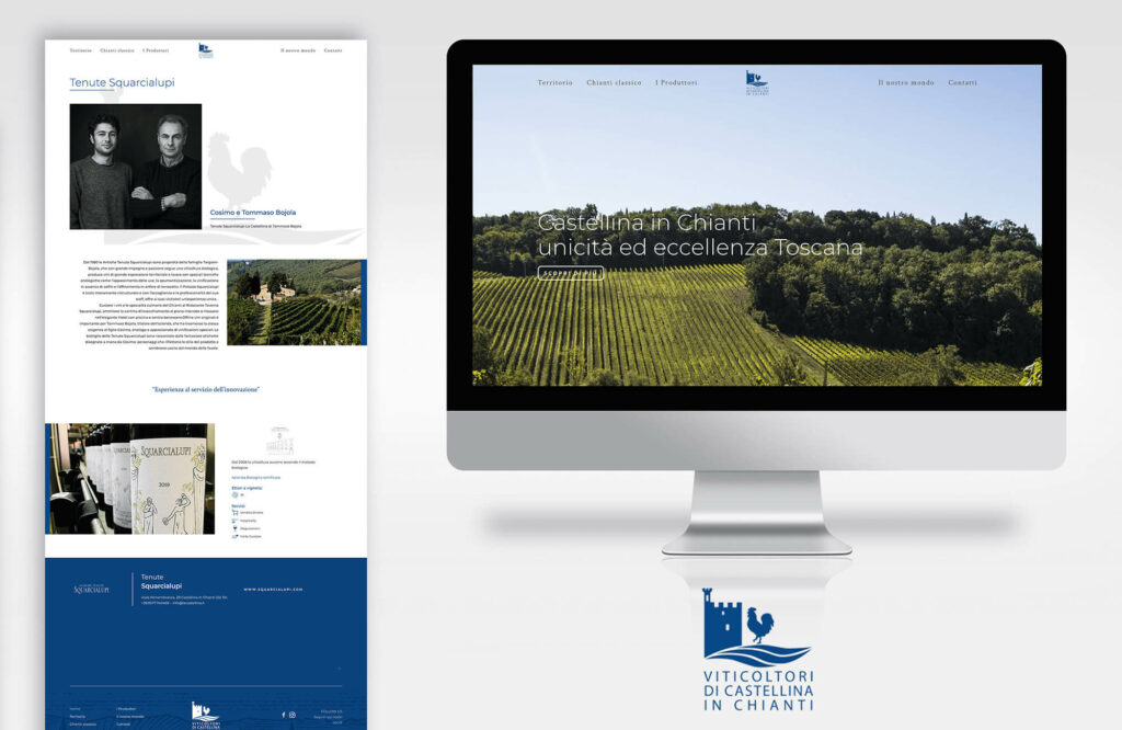 Website, schermate sito web viticoltoricastellina.it